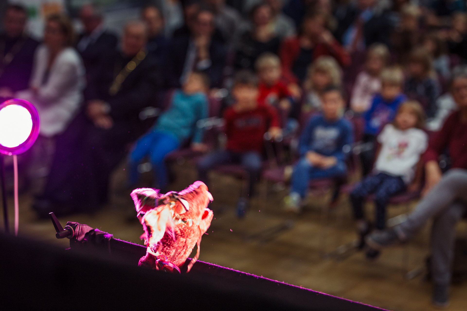 Foto von oben in den Saal mit einer Handpuppe und Teinehmerinnen und Teilnehmern